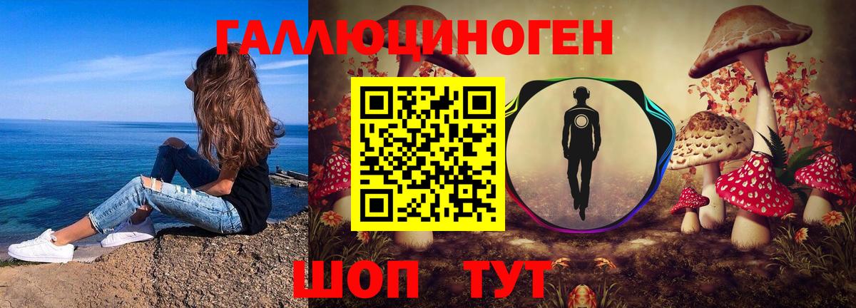 Котлас  что такое   Вход с VPN  Галлюциногенные грибы мухоморы  Псилоцибиновые грибы Psilocybe 