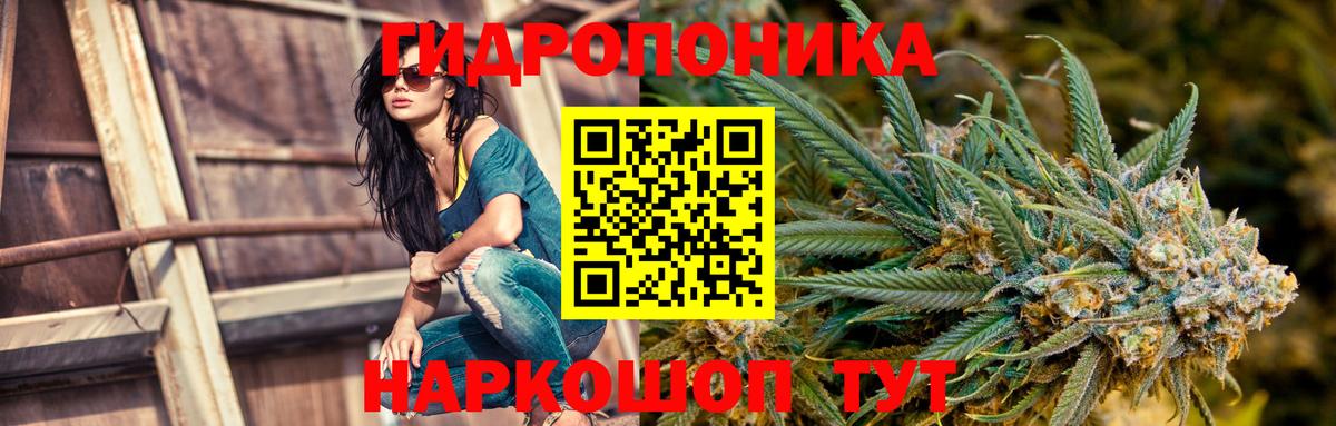 Бошки Шишки White Widow Котлас